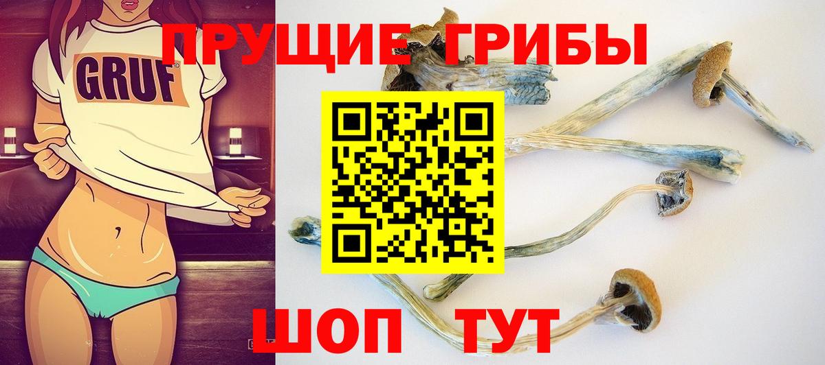 Псилоцибиновые грибы Cubensis  Вход с VPN  Галлюциногенные грибы MAGIC MUSHROOMS  Магадан 