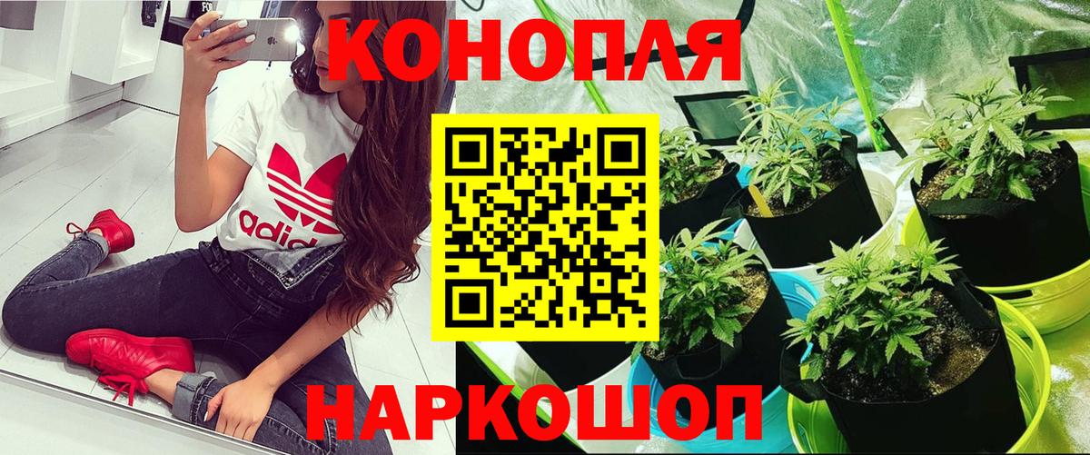 Канабис SATIVA & INDICA Магадан